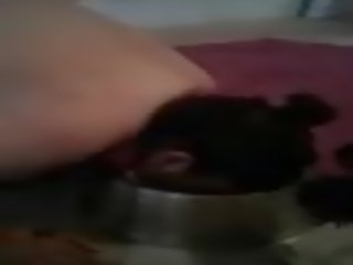 Saggy Dog Eats Her Dinner, Free Eating Her out HD Porn fb