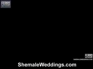 Eduardo Starring In Hot Mix Vids Of Shemale Weddings