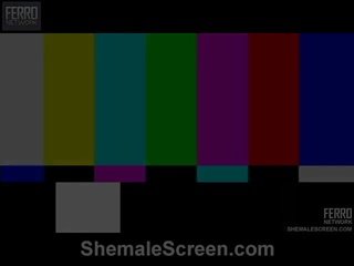 Shemale scherm proudly aanbiedingen isabele, patricia, rochele in seks scène