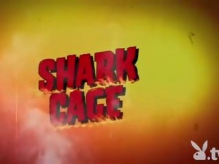 Badass gadis swam dengan shark di itu kurungan